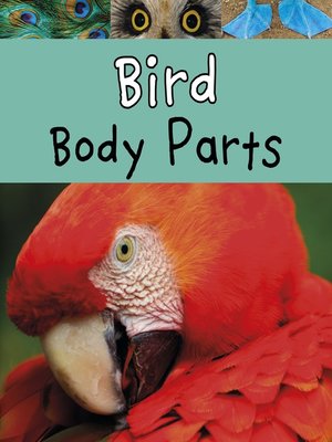 cover image of Bird Body Parts